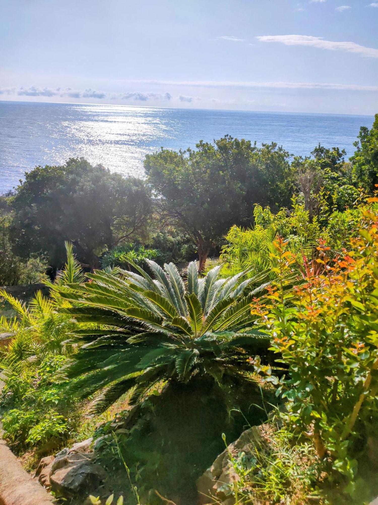 Studio Vue Sur Mer Conca Kültér fotó