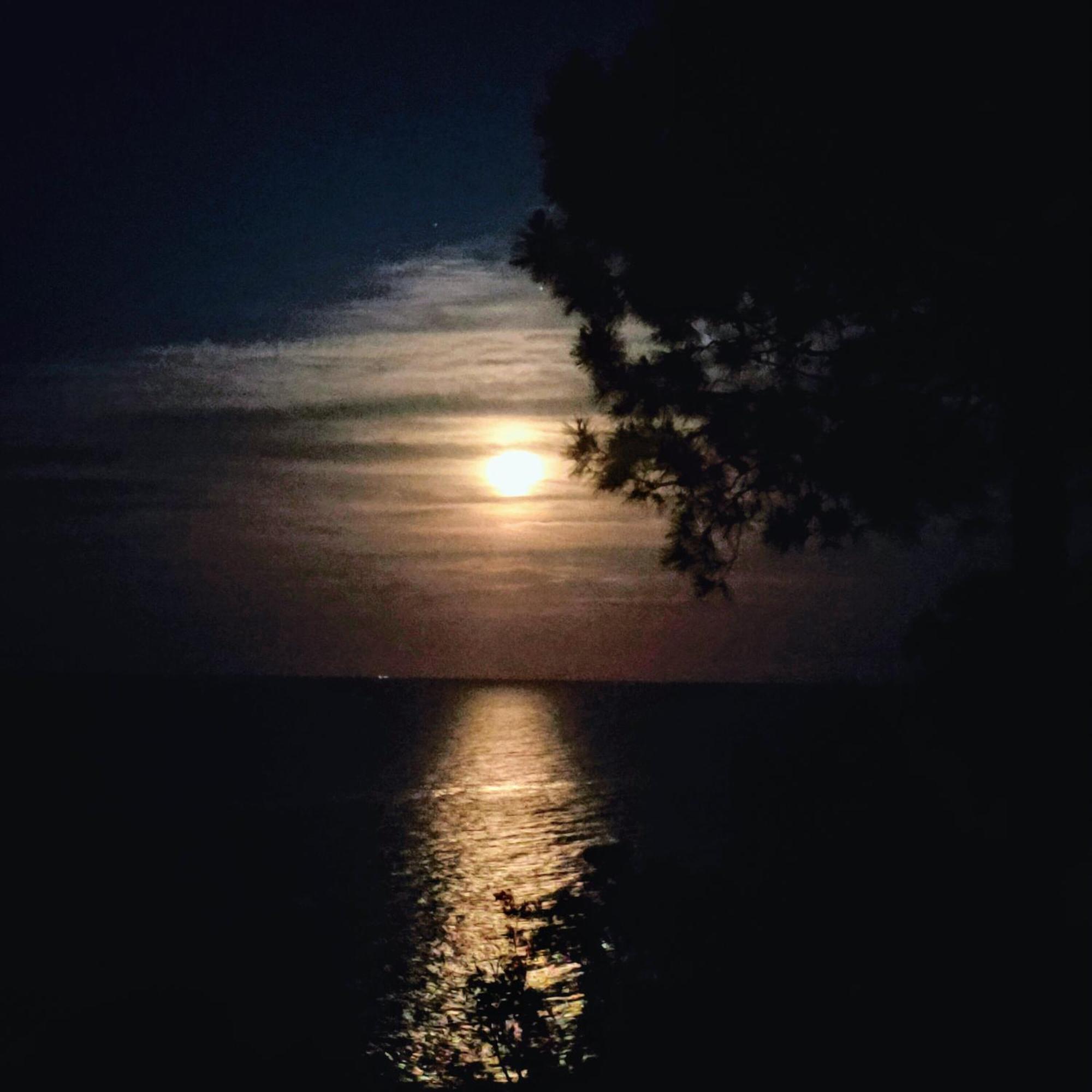 Studio Vue Sur Mer Conca Kültér fotó