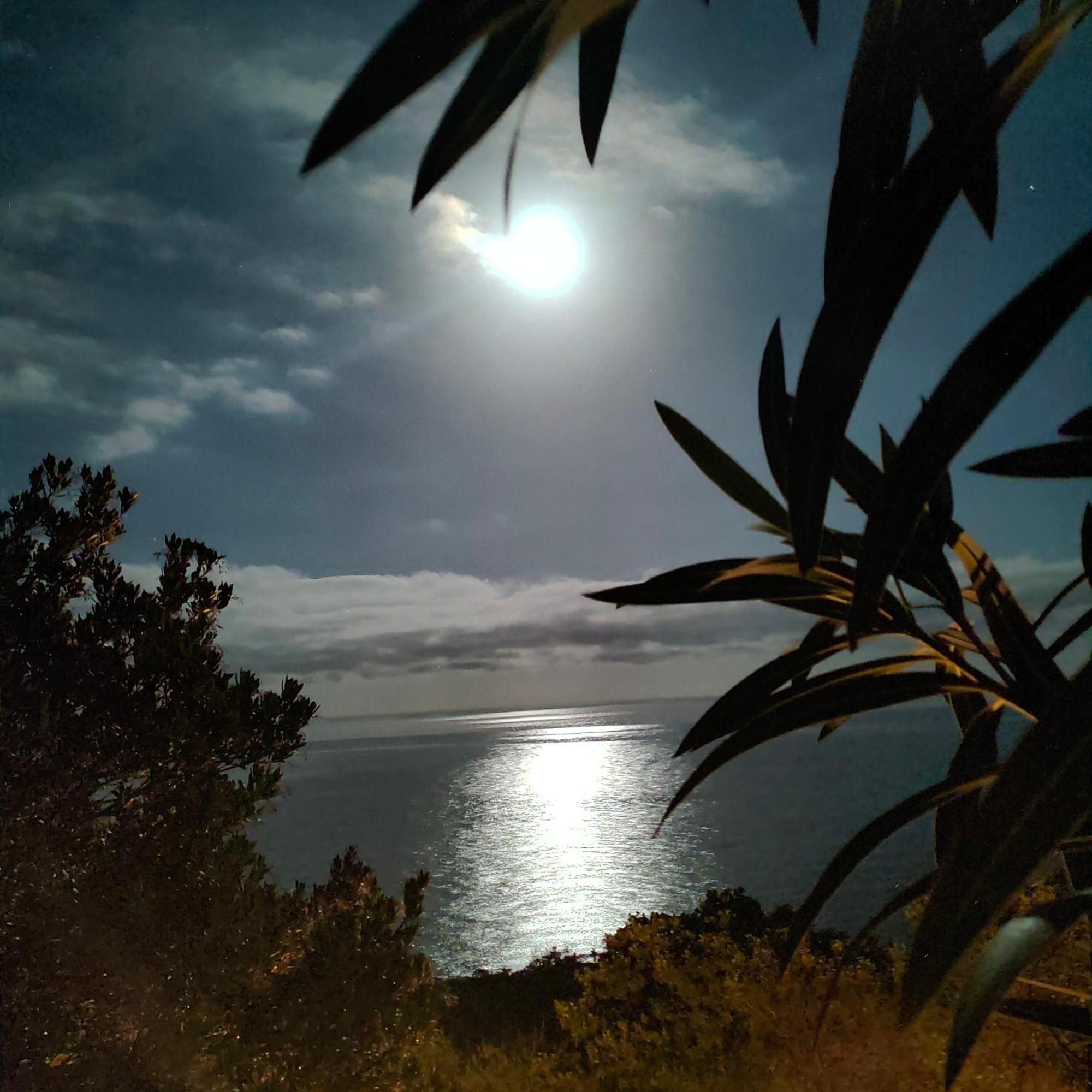 Studio Vue Sur Mer Conca Kültér fotó