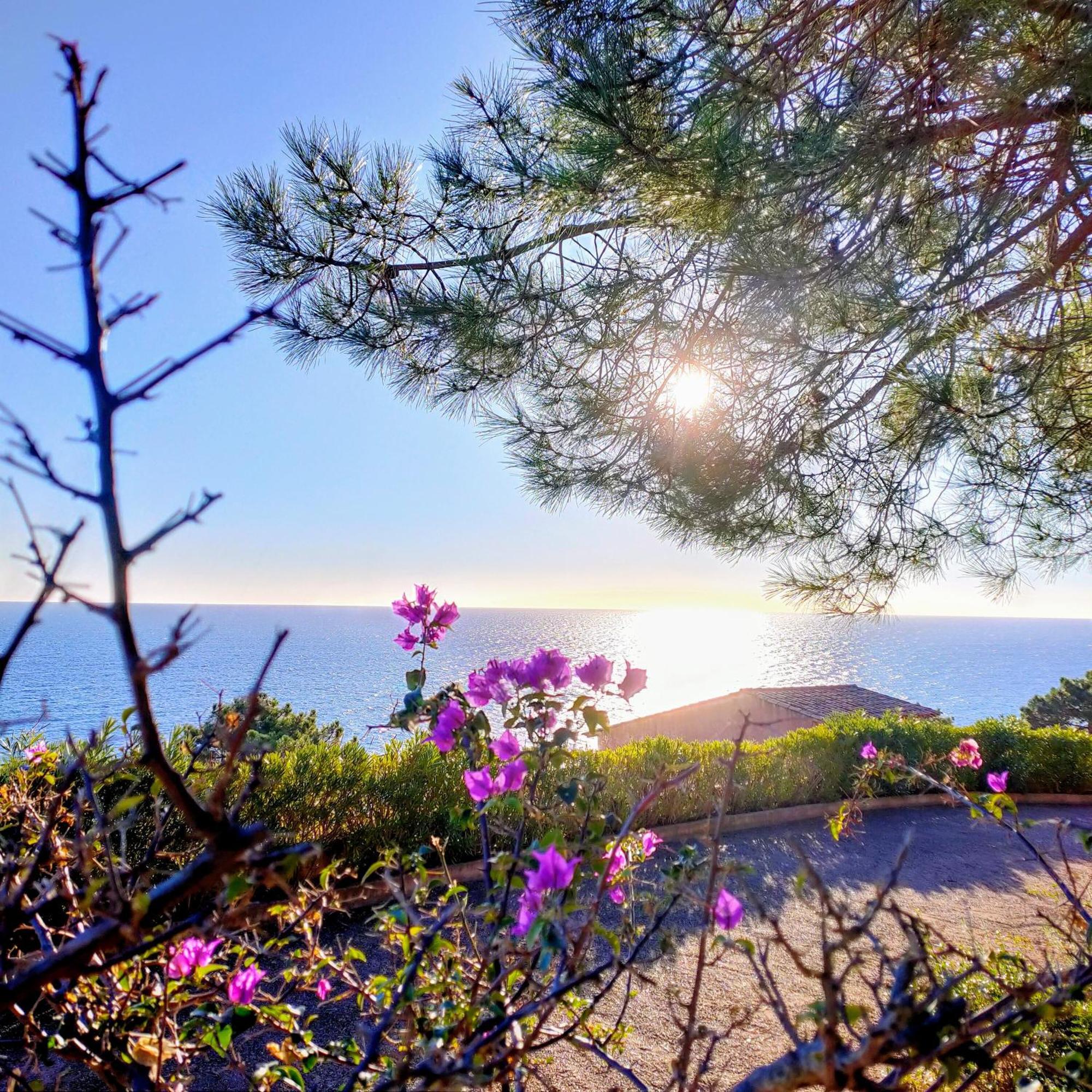 Studio Vue Sur Mer Conca Kültér fotó