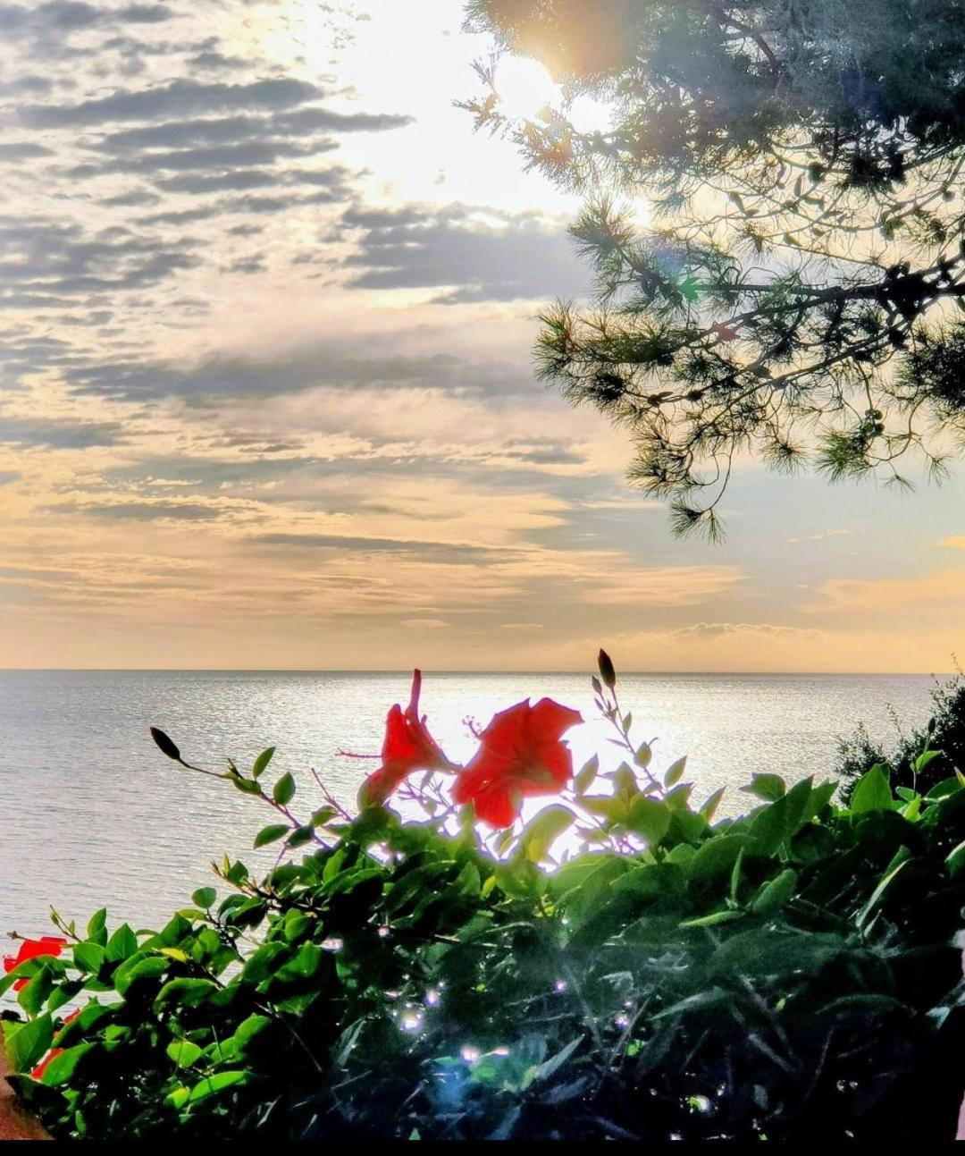 Studio Vue Sur Mer Conca Kültér fotó